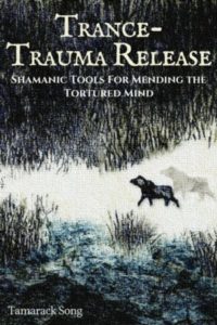 Trance-Trauma Release: Shamanic Tools for Mending the Tortured Mind