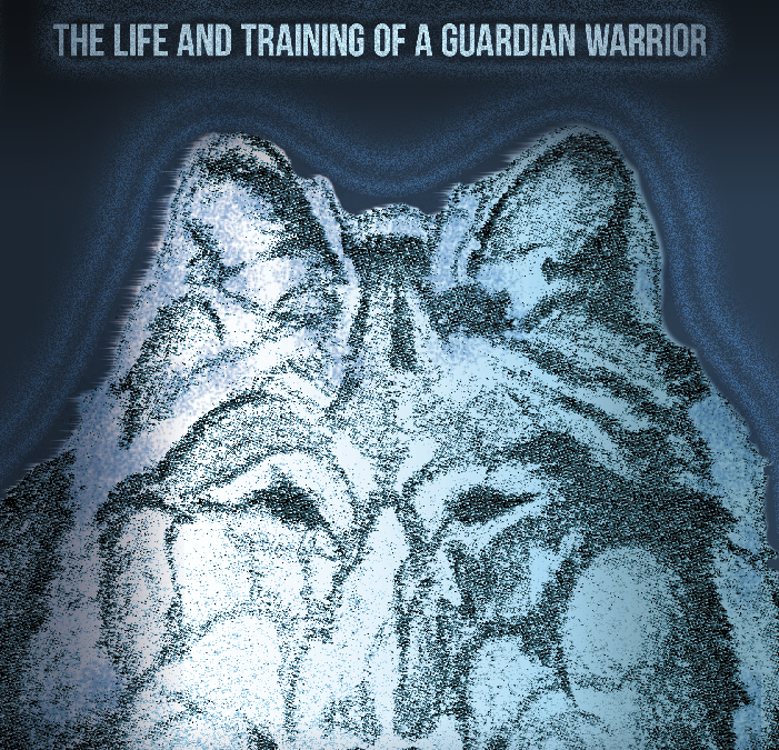 Like A Shadow: The Life and Training of a Guardian Warrior