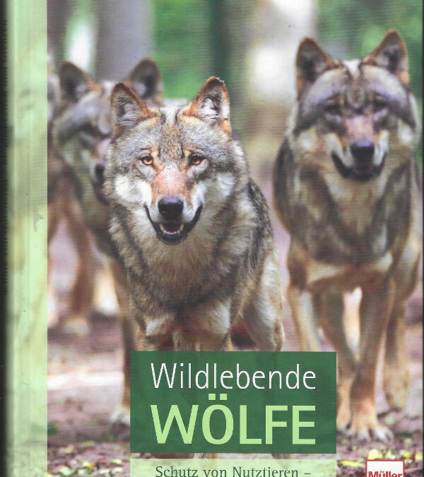 Wildlebende Wölfe