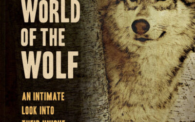 The Secret World of the Wolf