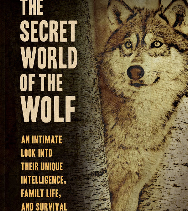 The Secret World of the Wolf